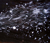 COMPACT SNOW MACHINE 